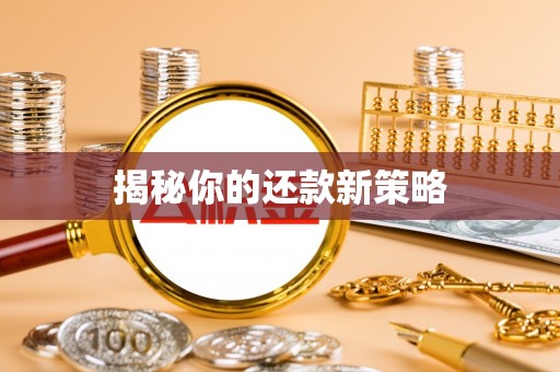 白水揭秘你的还款新策略