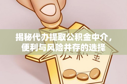 内黄揭秘代办提取公积金中介，便利与风险并存的选择