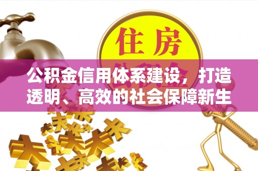 尤溪公积金信用体系建设，打造透明、高效的社会保障新生态