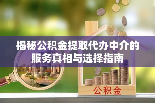 环县揭秘公积金提取代办中介的服务真相与选择指南