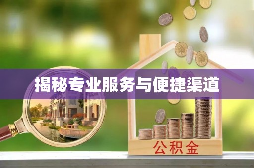 连山揭秘专业服务与便捷渠道