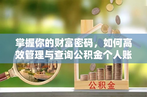 云龙掌握你的财富密码，如何高效管理与查询公积金个人账户信息