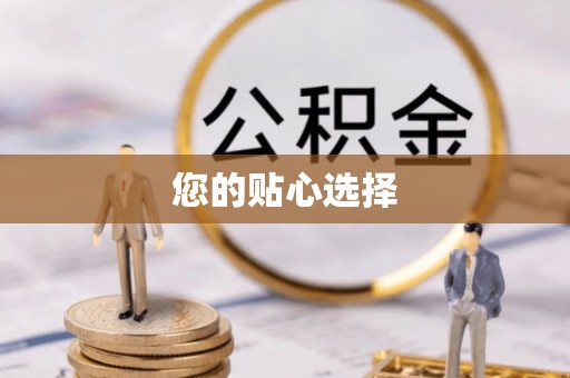 丹凤您的贴心选择