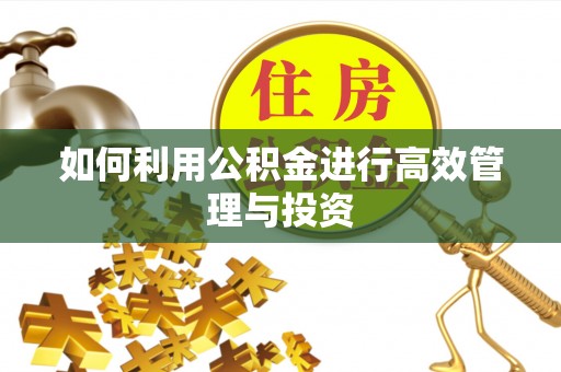 临泉如何利用公积金进行高效管理与投资