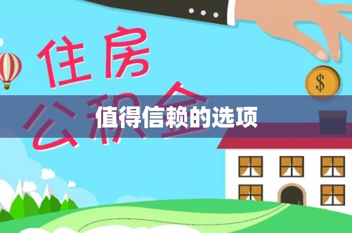 肥乡值得信赖的选项
