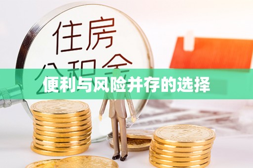 巴彦淖尔便利与风险并存的选择