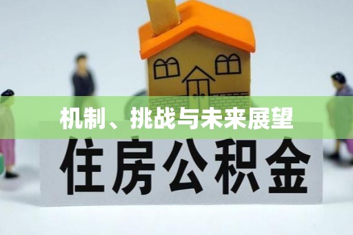 荣县机制、挑战与未来展望