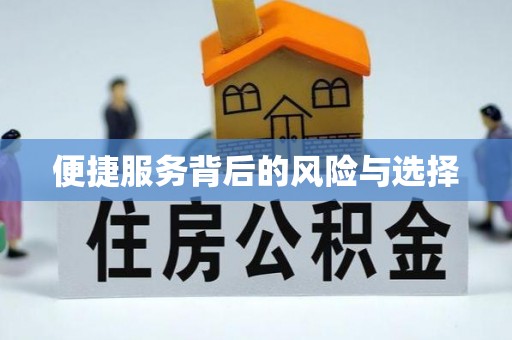 南海便捷服务背后的风险与选择