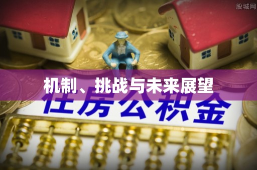 阜新机制、挑战与未来展望